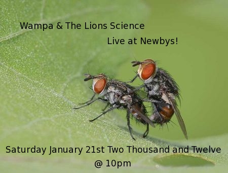 Live at Newbys 1-21-2012